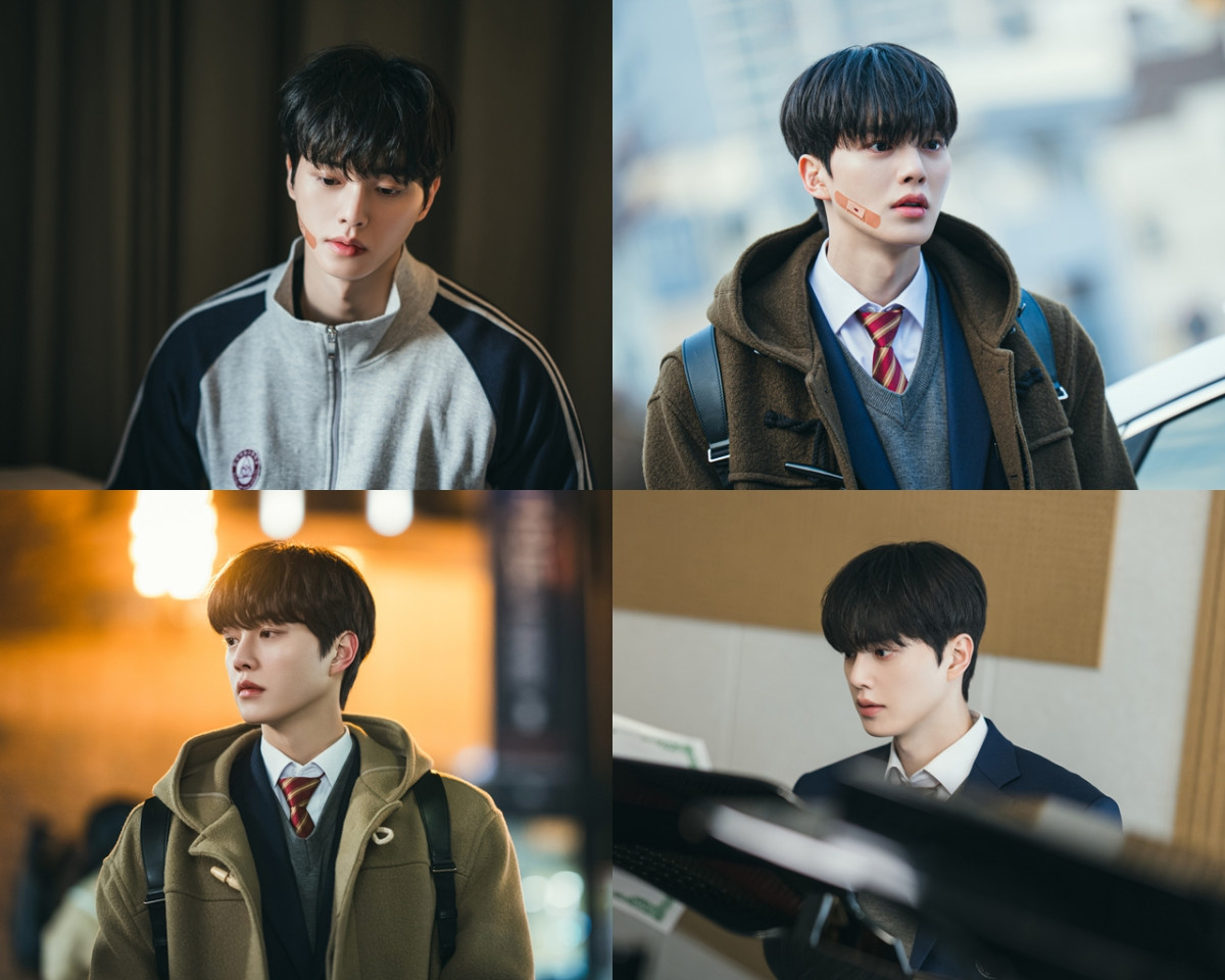 (출처=tvN)
