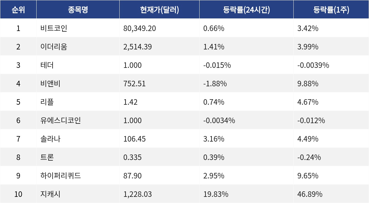 ▲자료제공=MetaVX