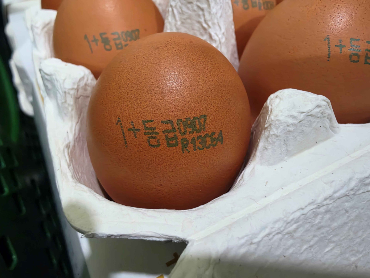 ▲품질 등급이 표시된 계란 껍데기 (사진제공=축산물품질평가원)