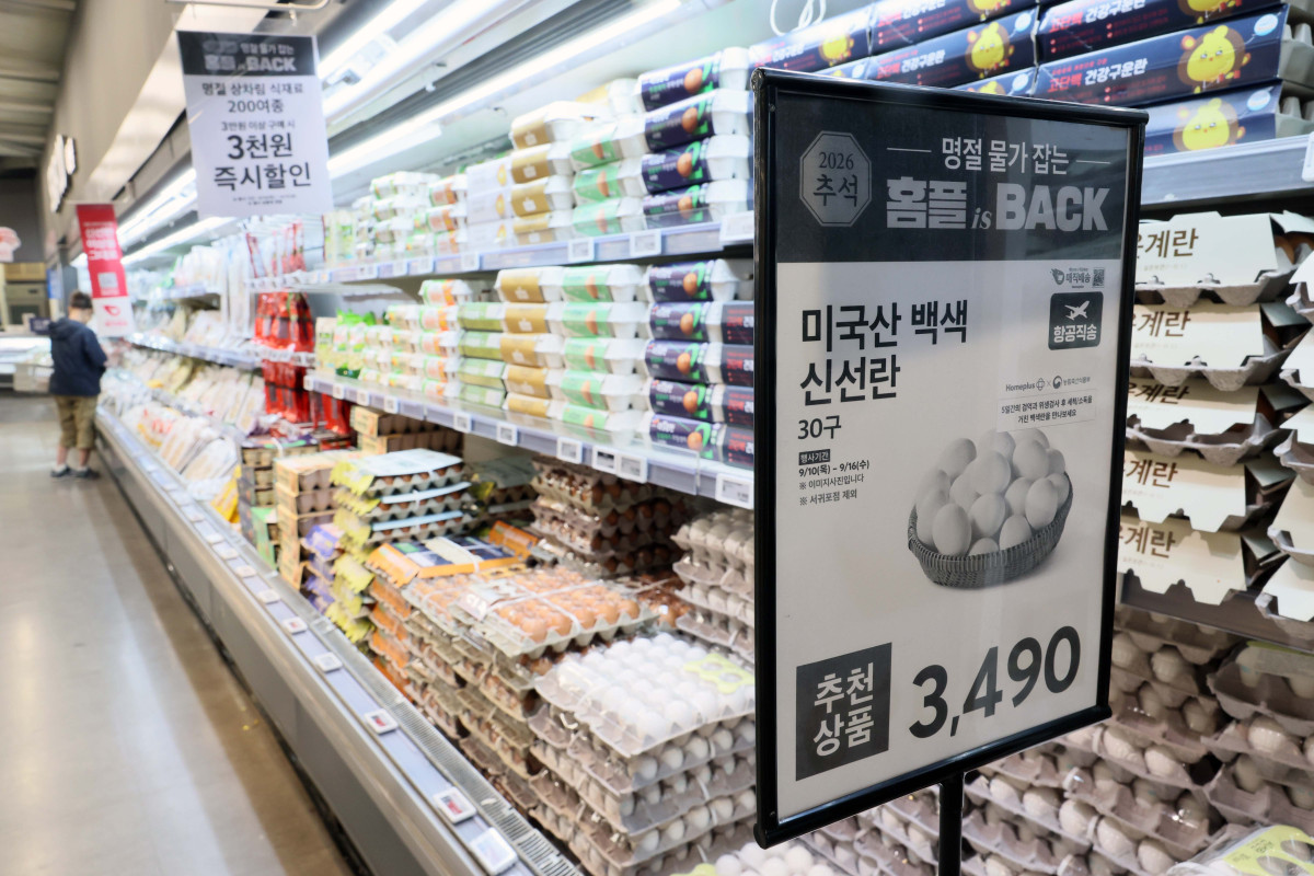 ▲홈플러스가 추석을 앞두고 한우와 한돈을 비롯한 주요 먹거리를 할인하는 ‘홈플 이즈 백’ 행사를 진행한다. 10일 서울 강서구 홈플러스 강서점에서 시민들이 장을 보고 있다. 홈플러스는 이날부터 16일까지 한우 전 품목을 최대 40% 할인 판매한다. 13일까지는 ‘한돈 일품포크’ 돼지고기 전 품목을 대상으로 행사 카드 결제 시 최대 50% 할인 혜택을 제공한다. 미국산 계란 30구는 3000원대 중반 가격에 판매해 장바구니 부담을 낮춘다. 신태현 기자 holjjak@