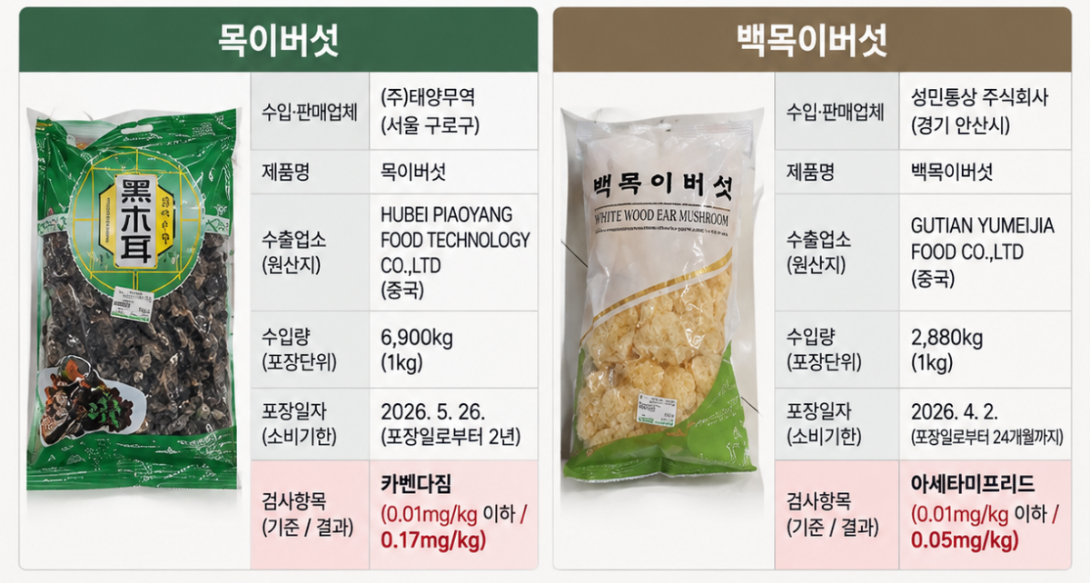 ▲(AI 기반 편집 이미지)