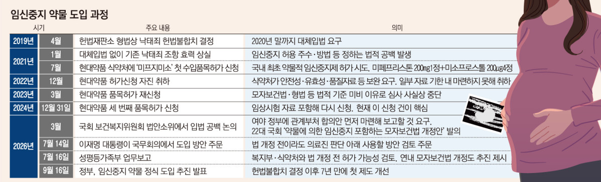 (그래픽=손미경 기자 sssmk@)