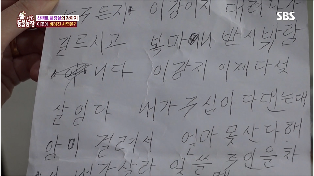 (SBS 동물농장 화면 갈무리)