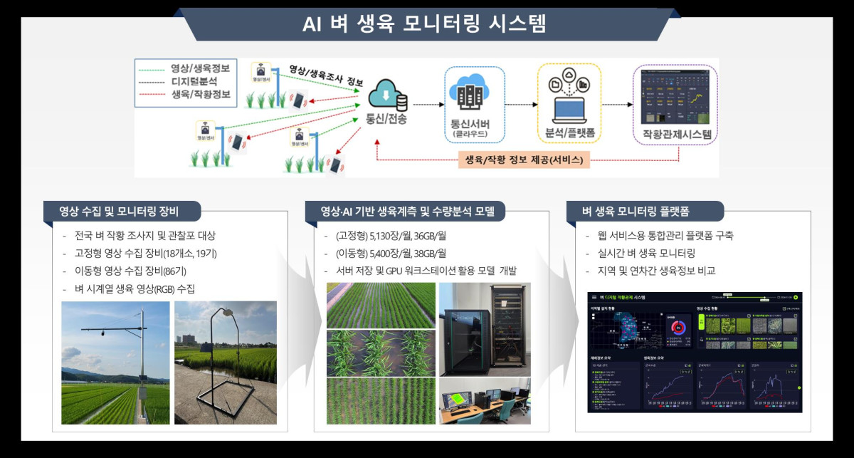 ▲AI 벼 생육 모니터링 시스템 모식도 (자료제공=농촌진흥청)