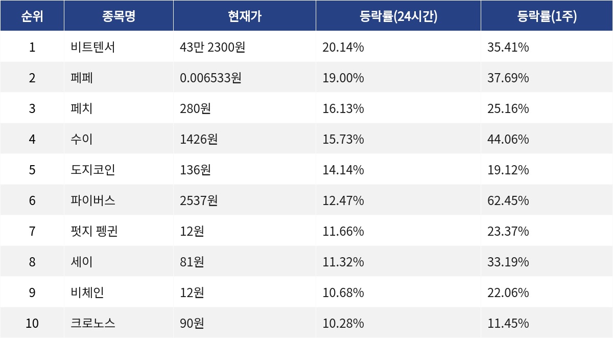 ▲자료제공=MetaVX