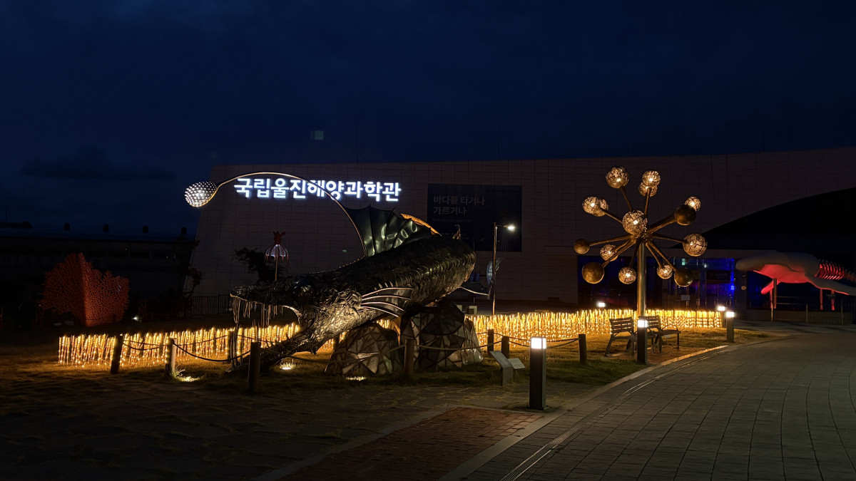▲울진해양과학관 야간개장 전경 (사진제공=국립울진해양과학관)