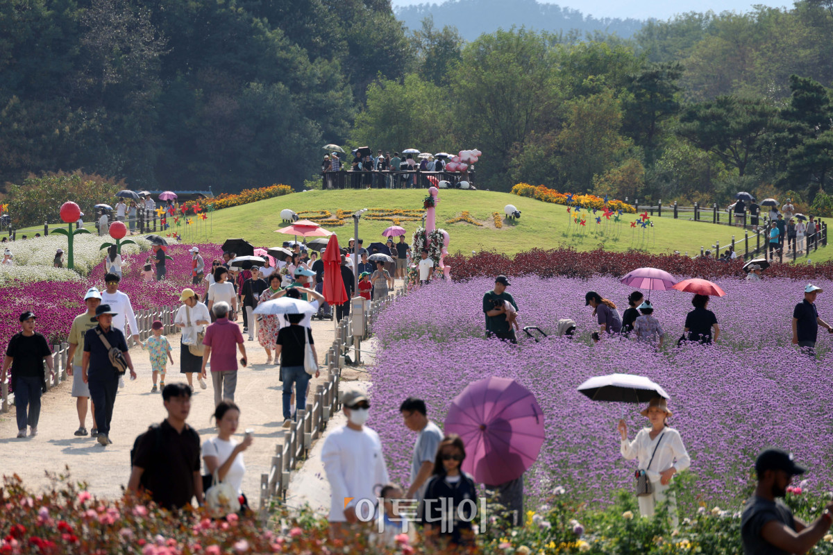▲추석 연휴 마지막 날인 27일 경기도 양주시 나리공원을 찾은 나들이객들이 만개한 가을꽃을 감상하며 가을 정취를 만끽하고 있다. ‘천일홍에 물드는 양주의 가을’을 주제로 열리는 ‘2026 양주 천일홍 가을 페스타’는 내달 18일까지 이어지며, 가을꽃이 만개하는 시기에 맞춰 주말과 공휴일을 중심으로 다양한 문화예술 공연과 체험, 마켓 등을 선보인다. 고이란 기자 photoeran@
