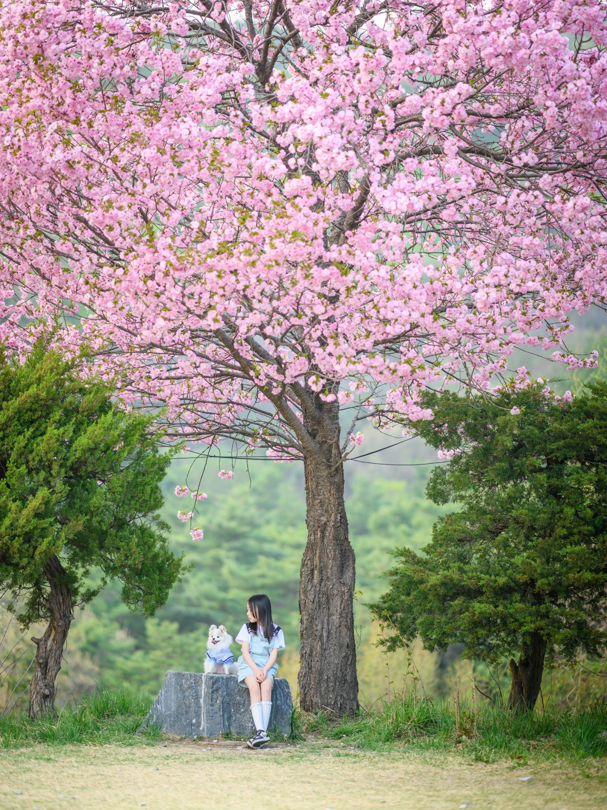 ▲‘제19회 동물사랑 사진·영상 공모전’ 대상 수상작 '너랑나랑' (사진제공=농림축산식품부)