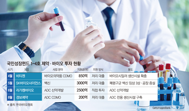 (그래픽=손미경 기자 sssmk@)