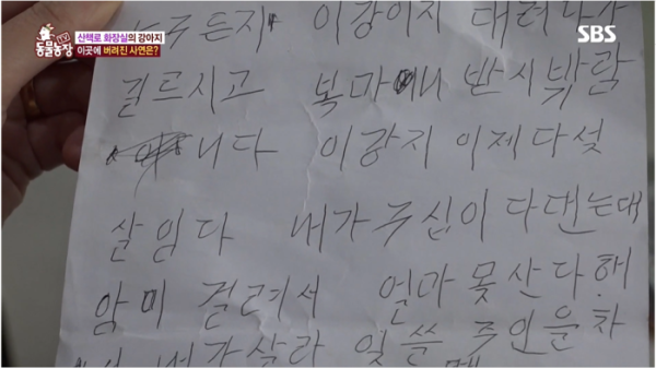 (SBS 동물농장 화면 갈무리)