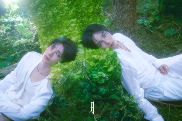 ▲세븐틴 정한X조슈아(사진출처=플레디스엔터테인먼트(하이브))