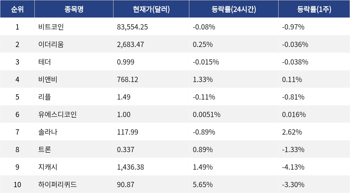 ▲자료제공=MetaVX