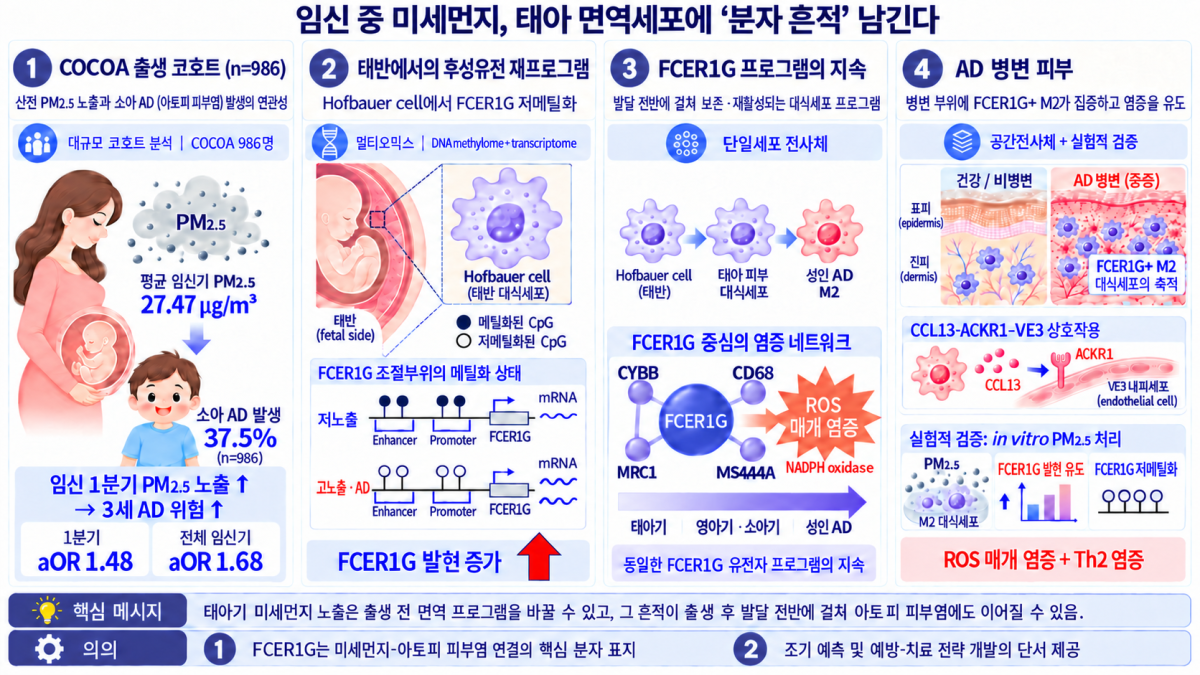 (경희대)