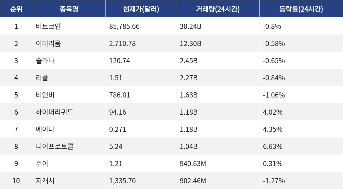 ▲자료제공=MetaVX