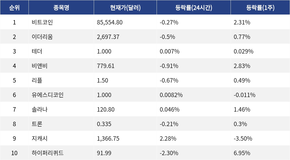 ▲자료제공=MetaVX