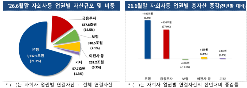 (금감원)