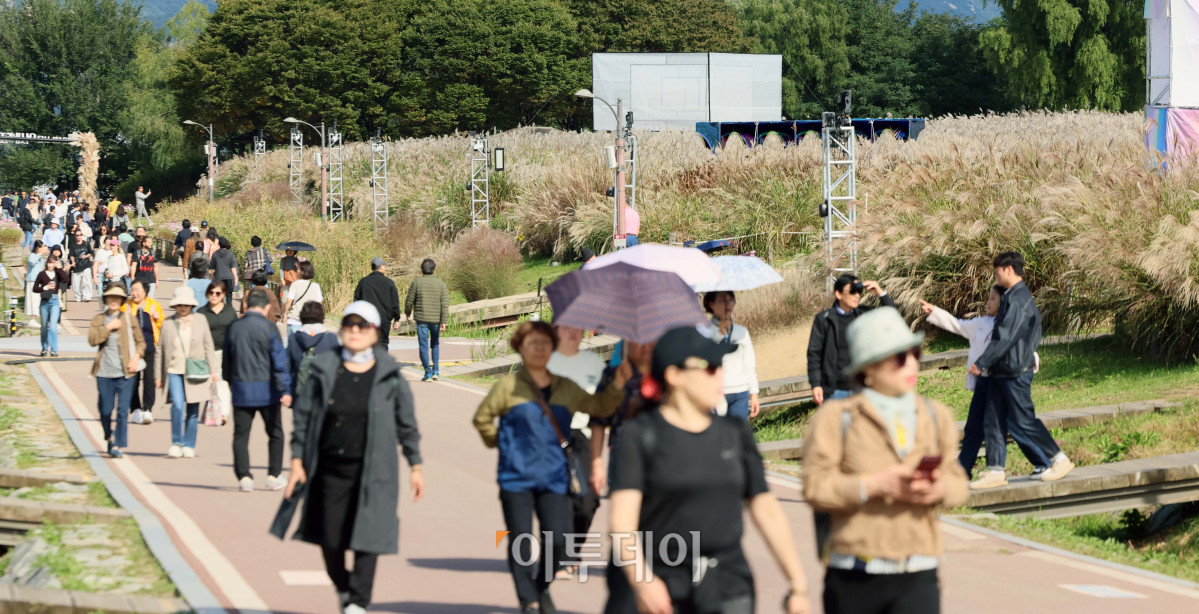 ▲서울 마포구 하늘공원에서 시민들이 억새밭을 거닐며 계절의 정취를 만끽하고 있다. (신태현 기자 holjjak@)