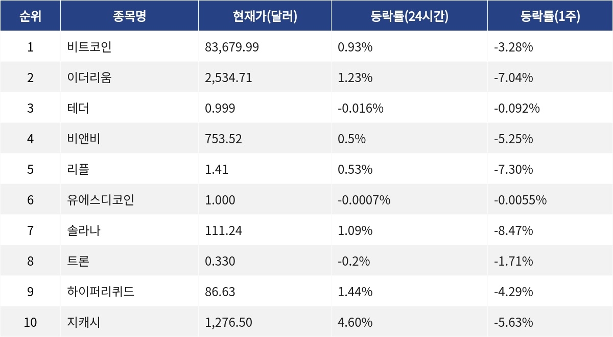 ▲자료제공=MetaVX