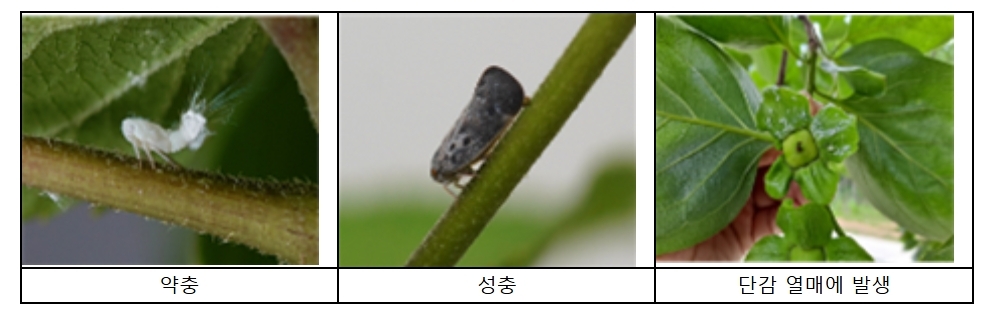 ▲(출처=기후에너지환경부)