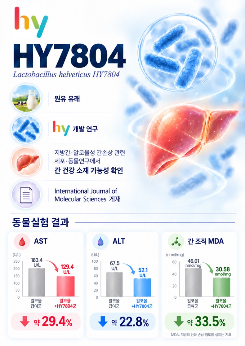 ▲hy의 프로바이오틱스 ‘HY7804’ 알코올성 간손상 연구가 국제학술지 게재됐다. (사진제공=hy)