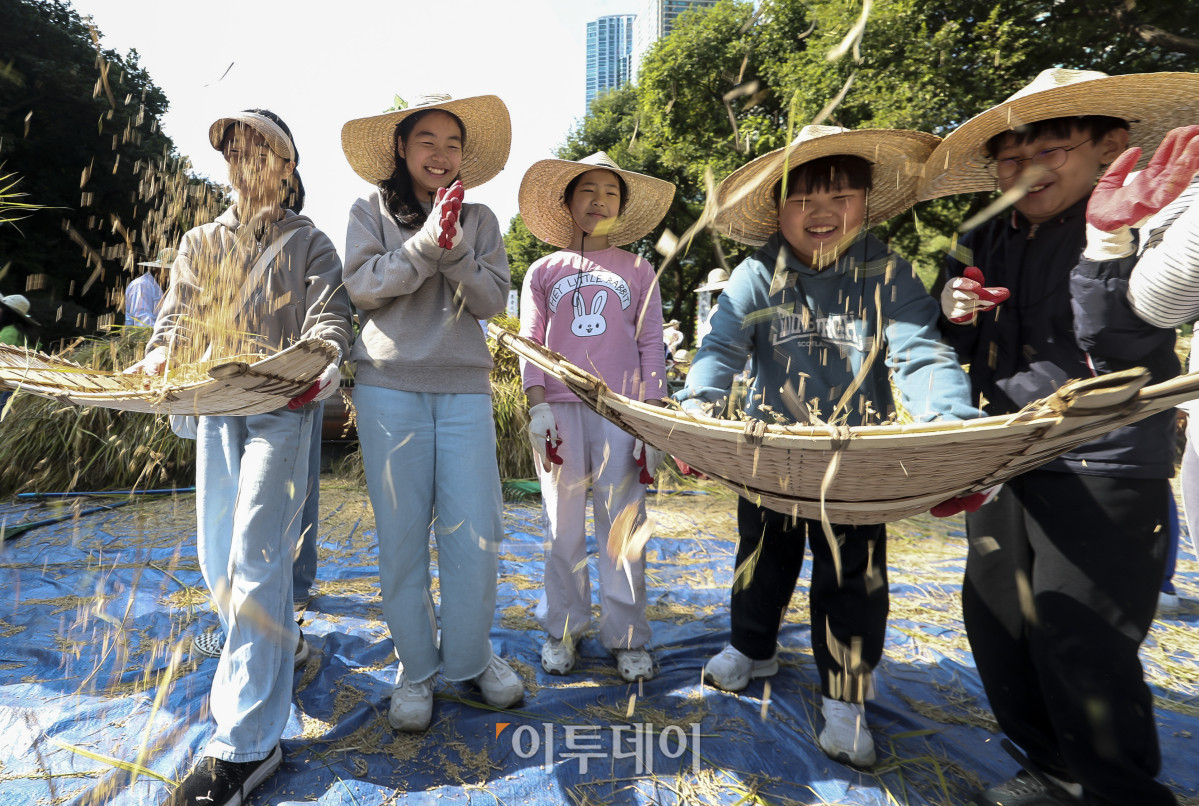 ▲완연한 가을 날씨를 보이고 있는 15일 서울 강남구 양재천 벼농사 학습장을 찾은 어린이들이 벼 베기 체험을 하고 있다. 이날 강남구청은 구민과 어린이 등 200여명이 참여하는 '양재천 가을맞이 벼 베기 체험 행사'를 진행했다. 행사에 참여한 어린이들은 낫을 들고 벼를 베고 탈곡, 볏짚 묶기 등 벼농사 과정을 체험했다. 고성준 기자 joonko1@