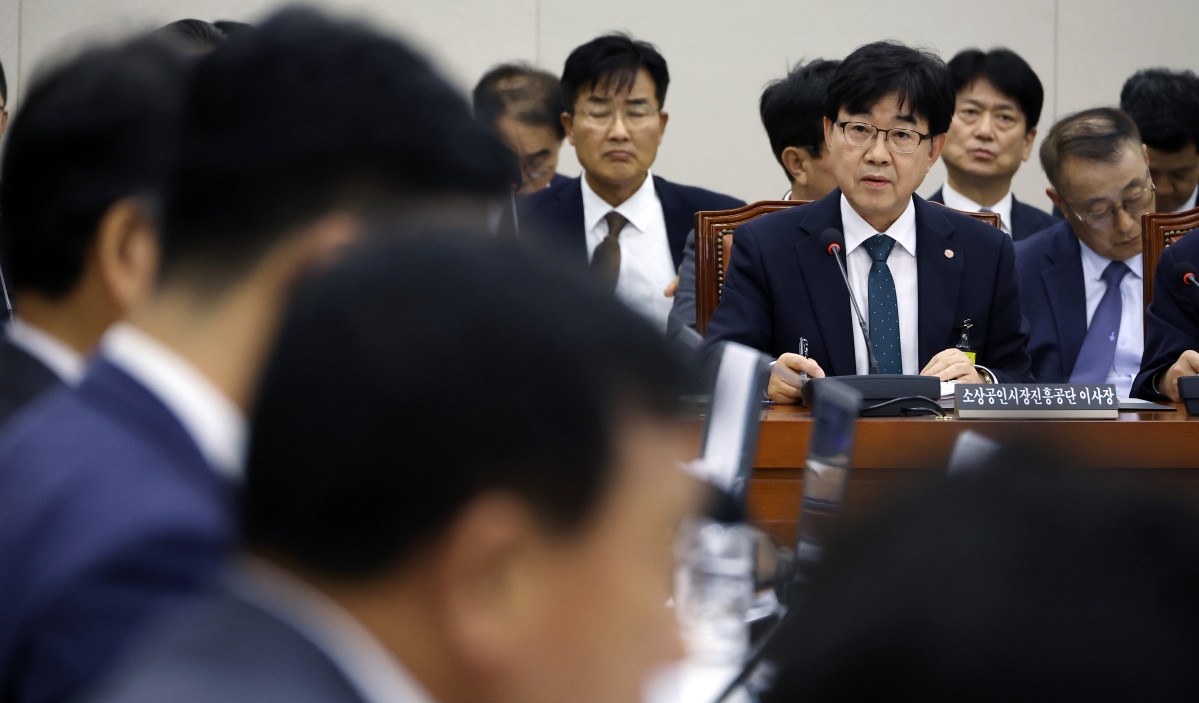 ▲인태연 소상공인시장진흥공단 이사장이 15일 국회 산업통상자원중소벤처기업위원회에서 열린 중소벤처기업진흥공단 등에 대한 국정감사에서 의원 질의에 답하고 있다. (연합뉴스)