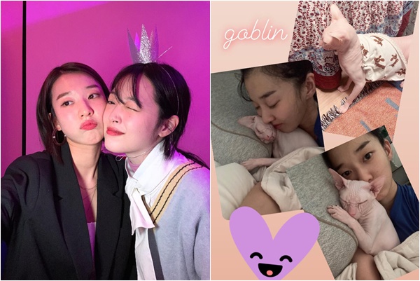 ▲김선아와 故설리, 그리고 설리의 반려묘. (출처=김선아SNS)