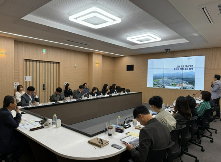 ▲고령 고도 역사가로 명소화 계획수립용역보고회 (고령군)