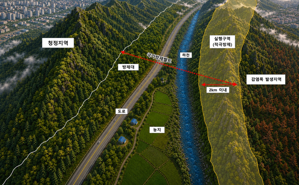 ▲소나무재선충병 국가방제벨트 모식도 (사진제공=산림청)