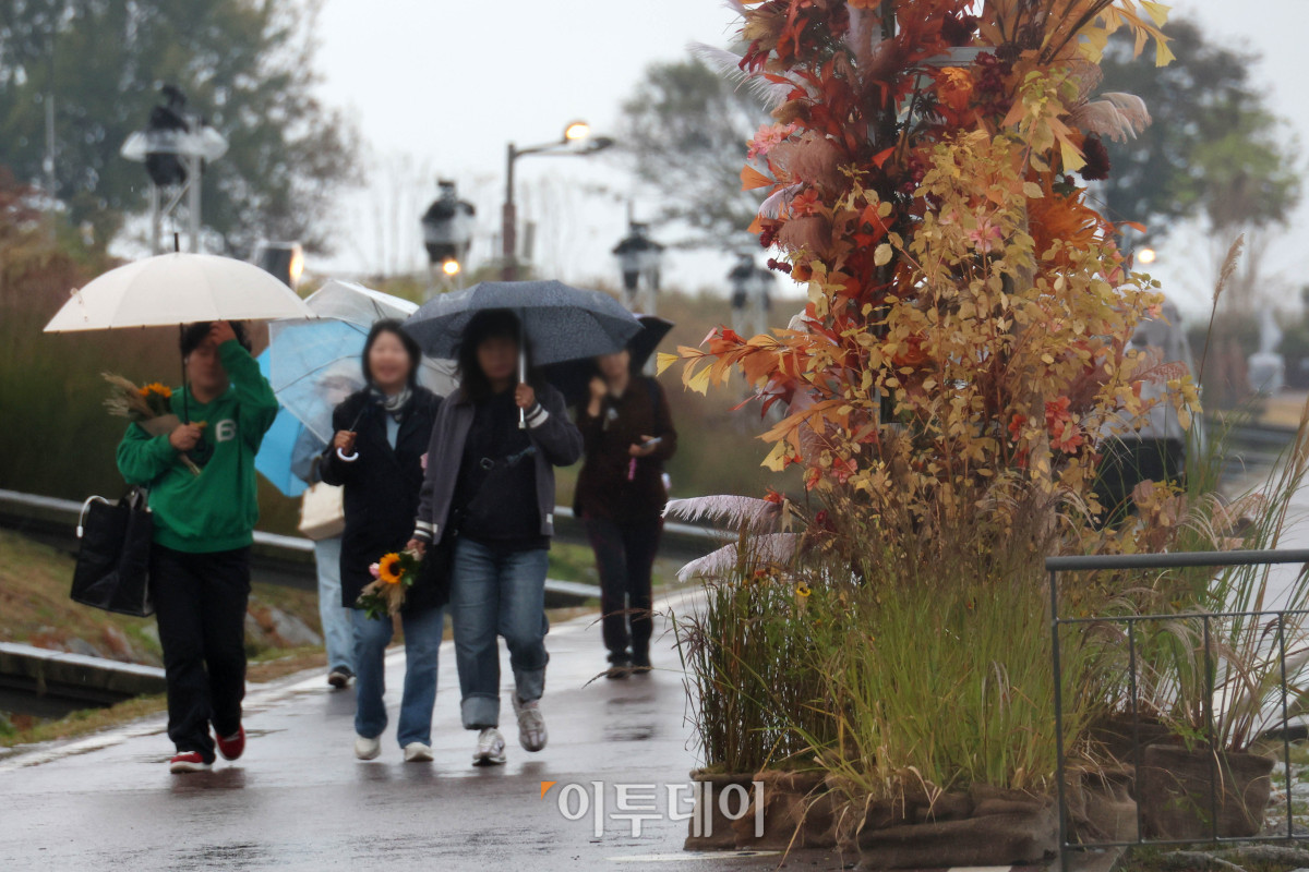 ▲서울억새축제 개막 후 첫 주말인 18일 서울 마포구 하늘공원에 비가 내리고 있다. 고이란 기자 photoeran@