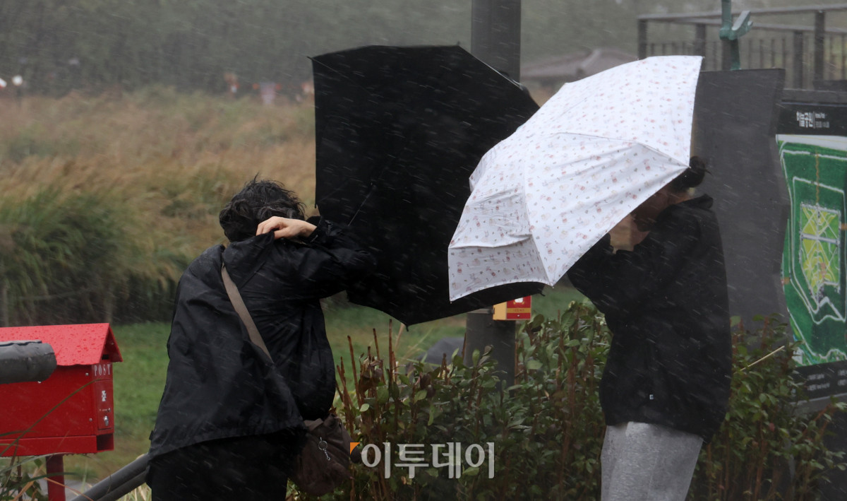 ▲서울억새축제 개막 후 첫 주말인 18일 서울 마포구 하늘공원에 비가 내리고 있다. 고이란 기자 photoeran@