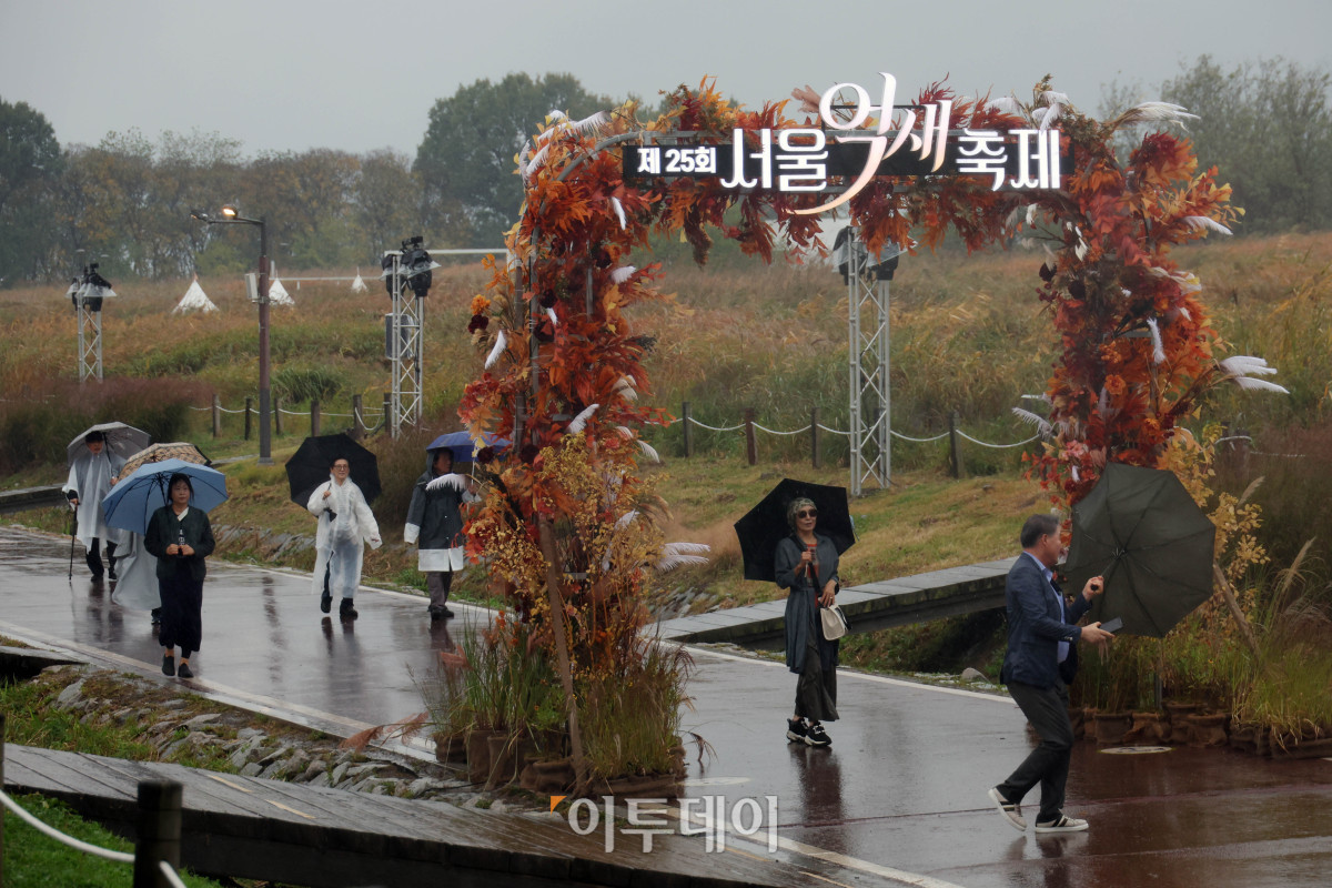 ▲서울억새축제 개막 후 첫 주말인 18일 서울 마포구 하늘공원에 비가 내리고 있다. 고이란 기자 photoeran@
