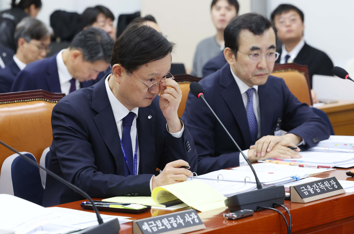 ▲이찬진 금융감독원장이 19일 서울 여의도 국회에서 열린 정무위원회의 금감원 등에 대한 국정감사에서 안경을 고쳐쓰고 있다. 신태현 기자 holjjak@
