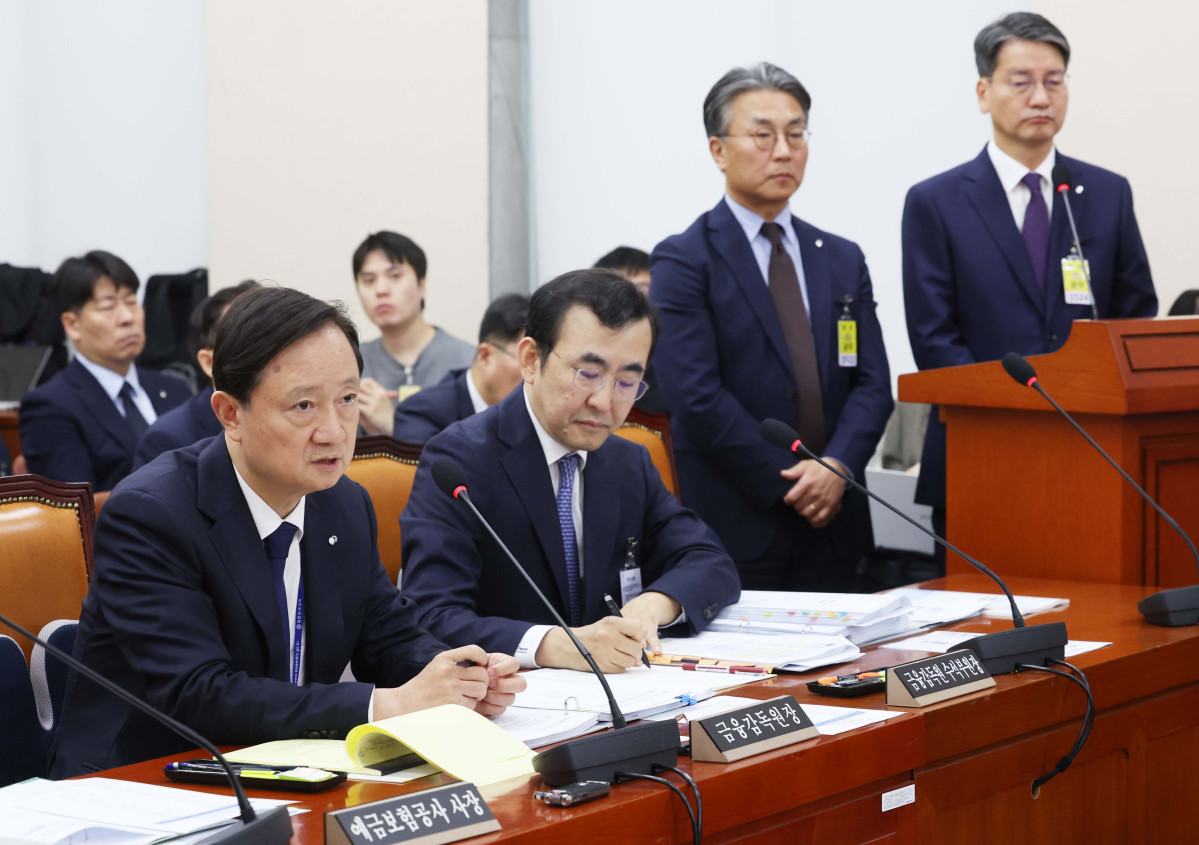 ▲이찬진 금융감독원장이 19일 서울 여의도 국회에서 열린 정무위원회의 금감원 등에 대한 국정감사에서 의원 질의에 답하고 있다. 신태현 기자 holjjak@