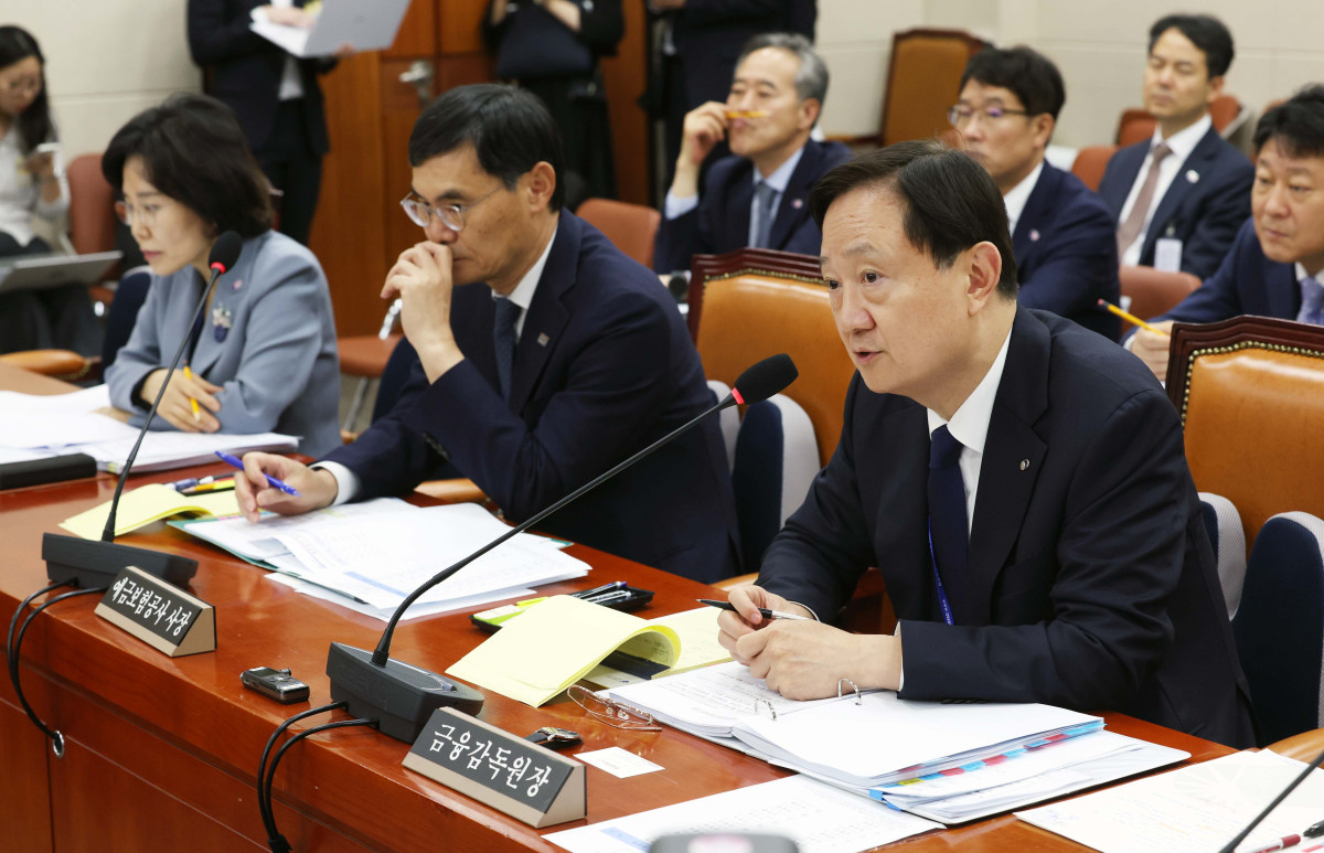 ▲이찬진 금융감독원장이 19일 서울 여의도 국회에서 열린 정무위원회의 금감원 등에 대한 국정감사에서 의원 질의에 답하고 있다. 신태현 기자 holjjak@