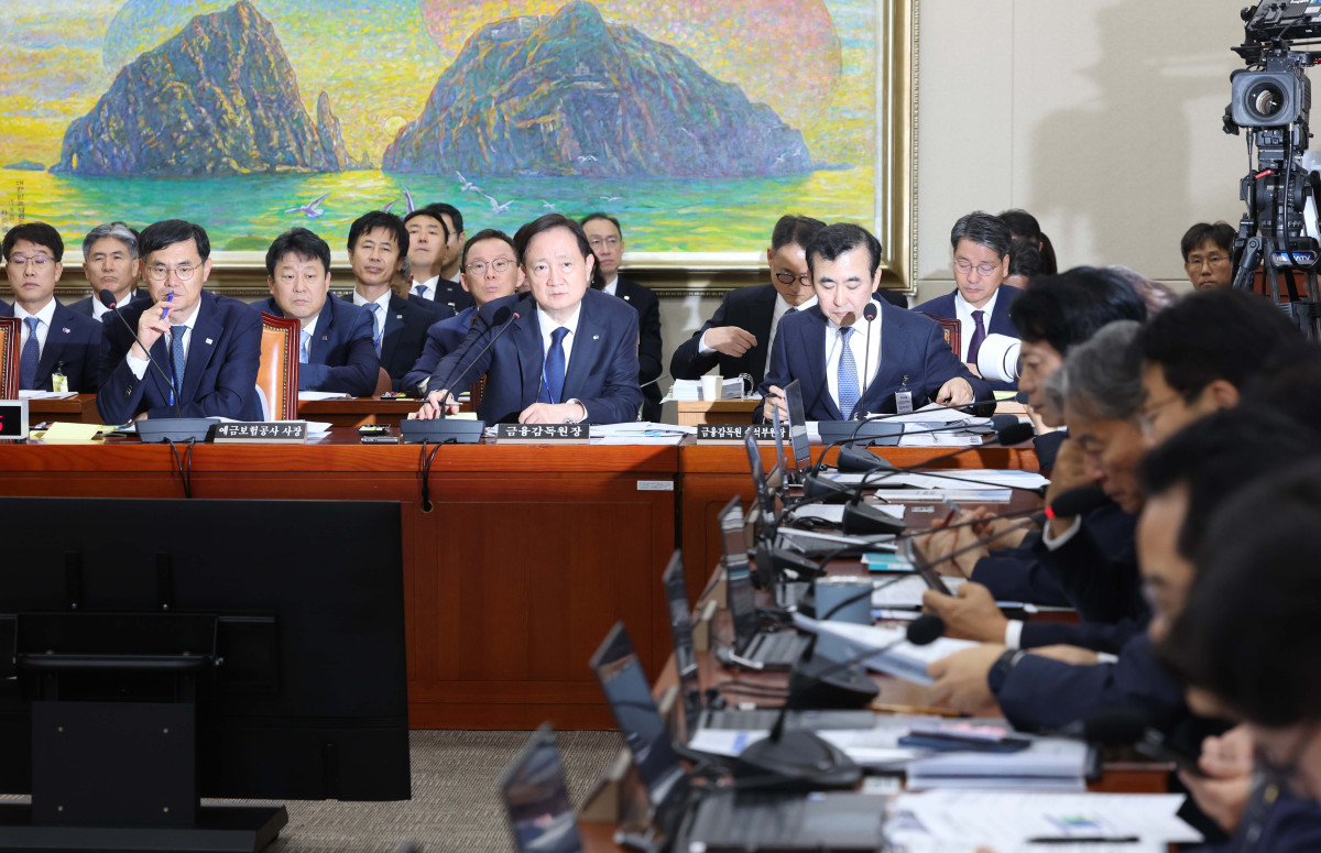 ▲이찬진 금융감독원장이 19일 서울 여의도 국회에서 열린 정무위원회의 금감원 등에 대한 국정감사에서 의원 질의에 답하고 있다. 신태현 기자 holjjak@