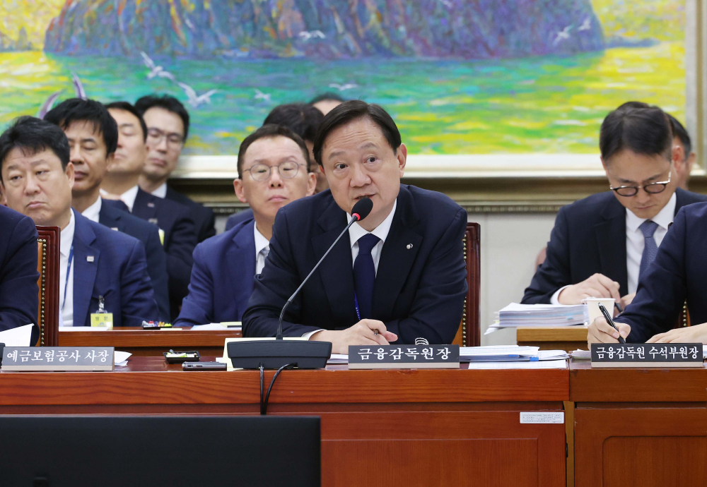 ▲이찬진 금융감독원장이 19일 서울 여의도 국회에서 열린 정무위원회의 금감원 등에 대한 국정감사에서 의원 질의에 답하고 있다. 신태현 기자 holjjak@ (이투데이DB)