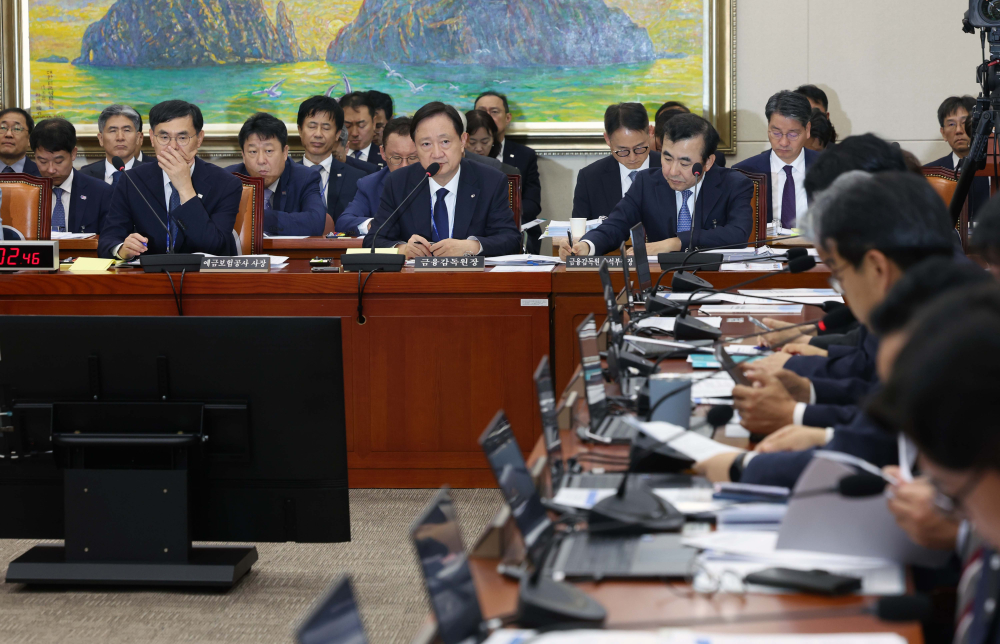 ▲이찬진 금융감독원장이 19일 서울 여의도 국회에서 열린 정무위원회의 금감원 등에 대한 국정감사에서 의원 질의에 답하고 있다. 신태현 기자 holjjak@ (이투데이DB)