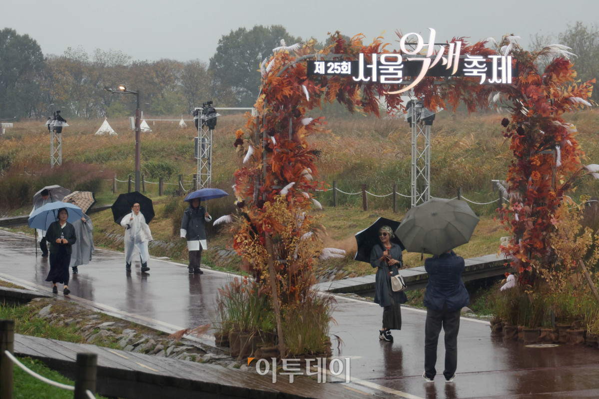 ▲서울억새축제 개막 후 첫 주말인 18일 서울 마포구 하늘공원에서 우산을 쓴 시민들이 발걸음을 옮기고 있다. 23일까지 열리는 이번 축제는 억새와 가을 식물, 빛과 소리 등 하늘공원의 자연환경을 활용해 시민들에게 가을의 정취와 휴식을 선사한다. 행사장에는 소망과 메시지를 남기는 '소원의 정원', 독서와 휴식을 즐기는 '휴식의 정원', 붉게 물든 댑싸리로 꾸민 '위로의 정원', 야간조명으로 빛나는 '희망의 정원' 등이 마련됐다. (고이란 기자 photoeran@)