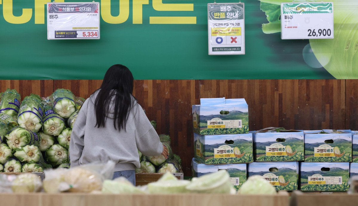 ▲지난달 추석을 앞두고 농·축산물 가격이 오르면서 생산자물가가 두 달 연속 상승했다. 21일 한국은행의 ‘9월 생산자물가지수’에 따르면 지난달 생산자물가지수는 129.78(2020년=100)로 집계돼 전월 대비 0.2% 상승했다. 농림수산품이 2.6% 상승한 가운데, 배추가 42.9%, 쇠고기가 10.4% 오르는 등 농·축산물 가격이 상승세를 이끌었다. 여름철 전기요금 누진제 감면 종료로 주택용 전력도 13.4% 올랐다. 반면 서비스업은 음식점과 숙박 서비스 등을 중심으로 0.1% 하락했다. 이날 서울의 한 대형마트에서 시민들이 장을 보고 있다. 신태현 기자 holjjak@