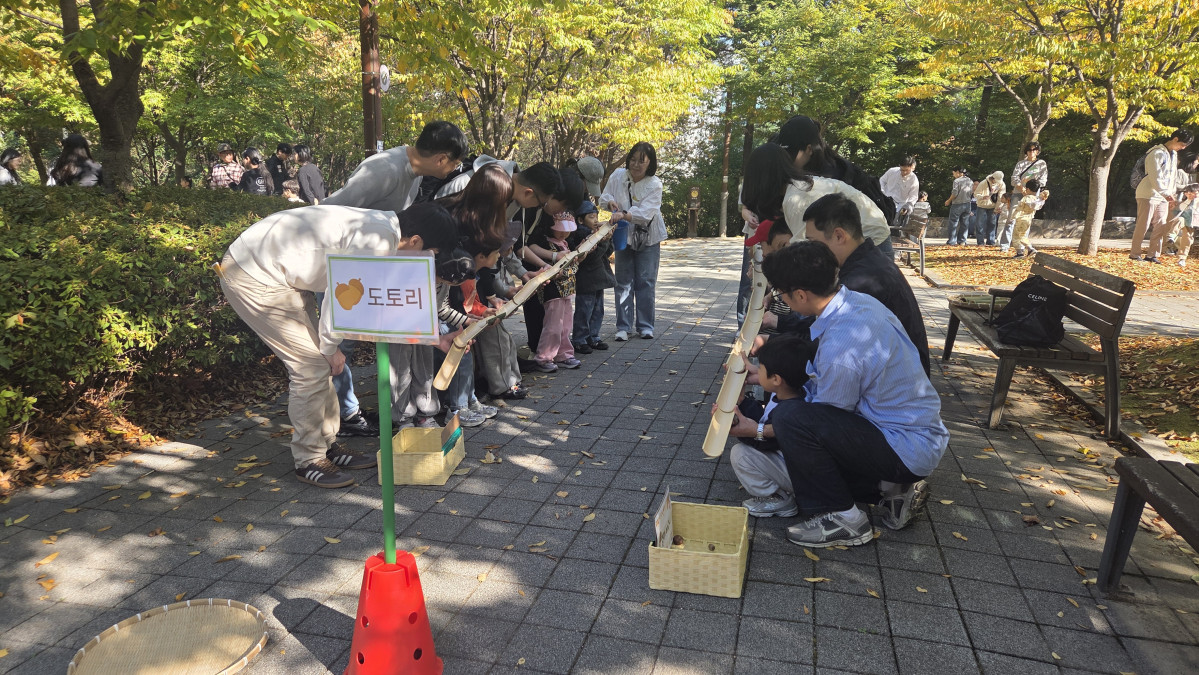 ▲수원 한누리유치원 유아와 학부모들이 20~21일 연암공원에서 진행된 '우리들의 숲나라' 프로그램에 참여해 '도토리' 체험활동을 하고 있다. 유치원은 스포츠와 자연미술, 장애이해교육 등을 연계한 9개 체험 코너를 운영했다. (한누리유치원)