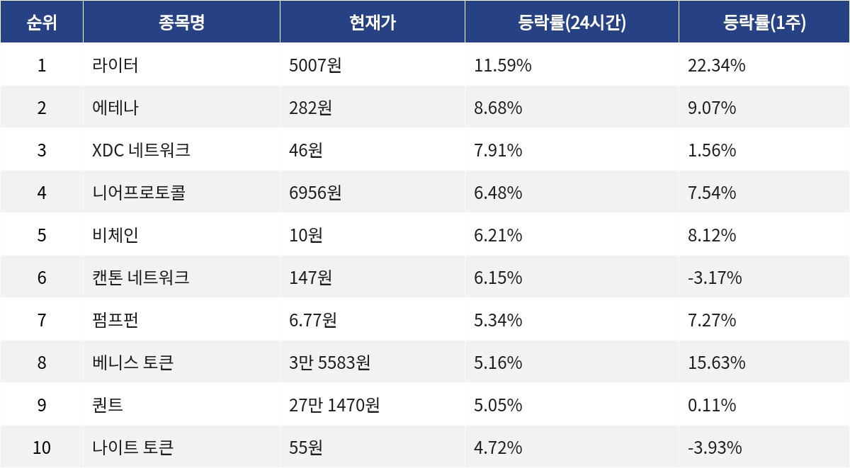 ▲자료제공=MetaVX
