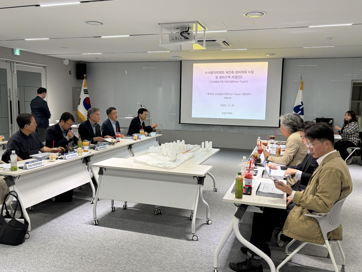▲현장 합동 신속통합기획 자문 회의 사진 (사진제공=서울시)