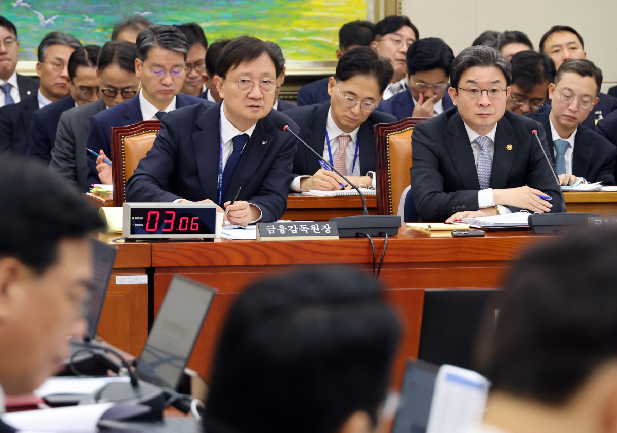 ▲이찬진 금융감독원장(왼쪽)이 22일 국회에서 열린 정무위원회 국정감사에서 위원 질문에 답하고 있다. 오른쪽은 이억원 금융위원장. 2026.10.22 (사진=연합뉴스)