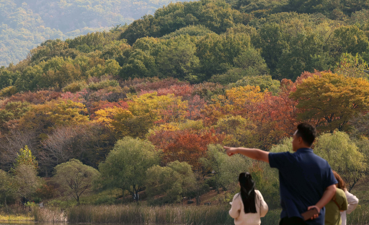 ▲완연한 가을 날씨를 보인 25일 인천 남동구 인천대공원에 울긋불긋 물든 단풍이 깊어가는 계절의 정취를 전하고 있다. 신태현 기자 holjjak@