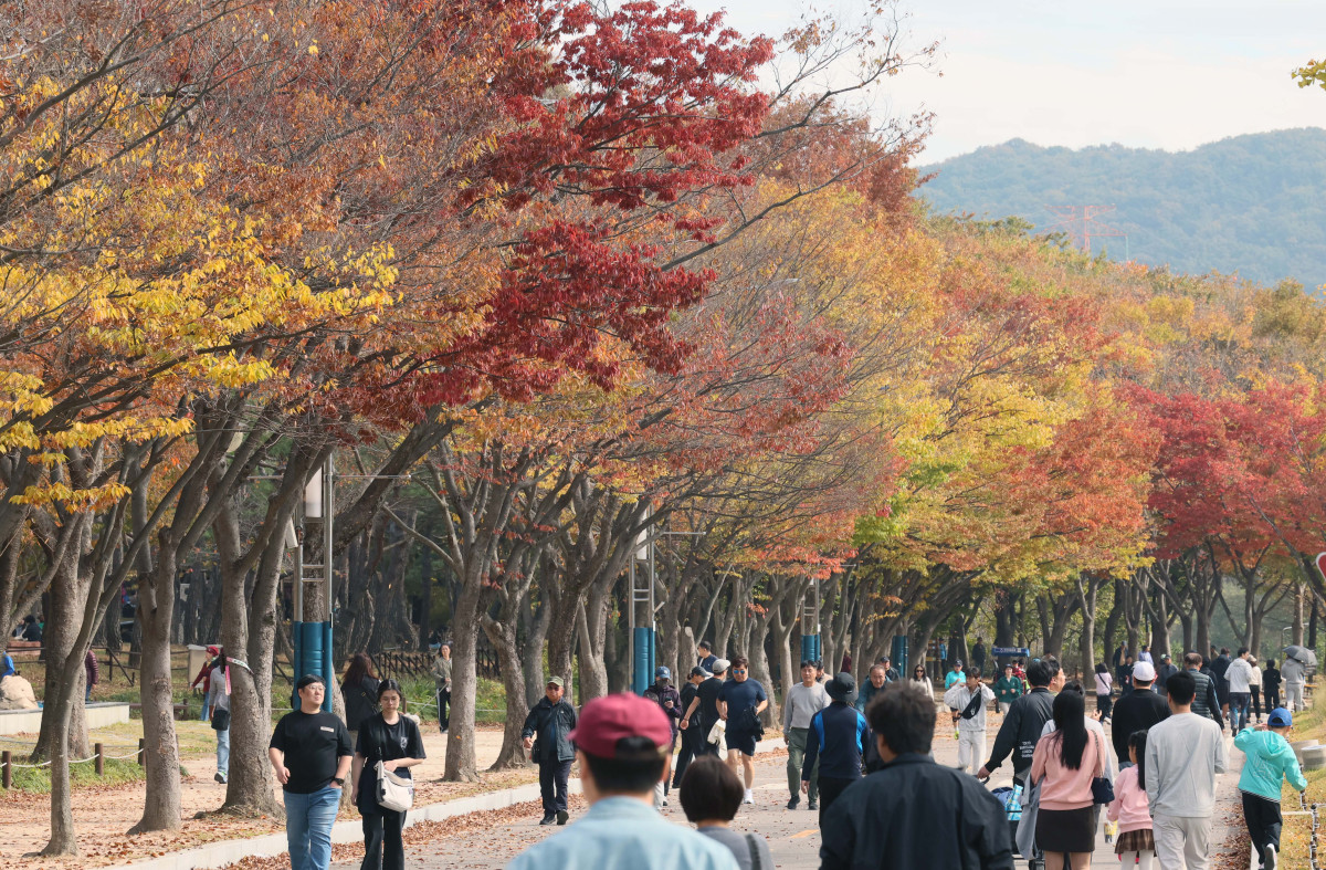 ▲완연한 가을 날씨를 보인 25일 인천 남동구 인천대공원에 울긋불긋 물든 단풍이 깊어가는 계절의 정취를 전하고 있다. 신태현 기자 holjjak@
