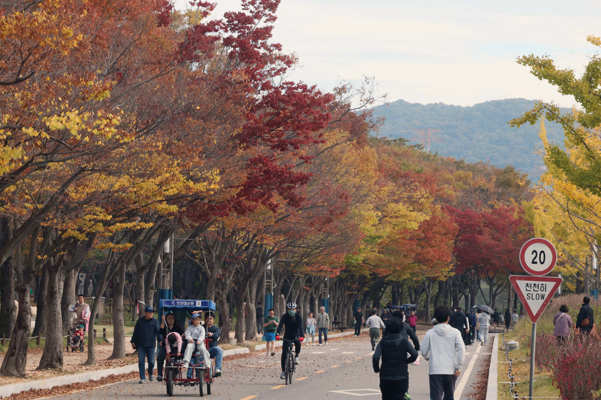 ▲완연한 가을 날씨를 보인 25일 인천 남동구 인천대공원에 울긋불긋 물든 단풍이 깊어가는 계절의 정취를 전하고 있다. 신태현 기자 holjjak@