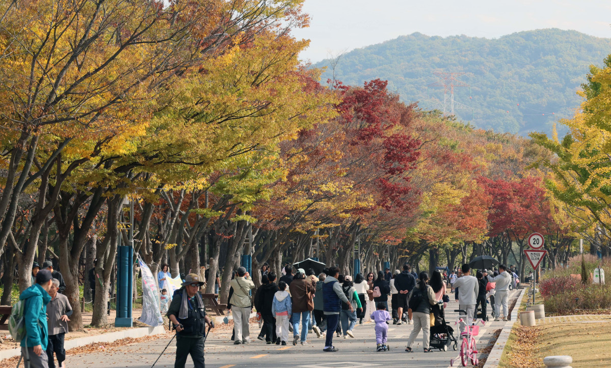 ▲완연한 가을 날씨를 보인 25일 인천 남동구 인천대공원에 울긋불긋 물든 단풍이 깊어가는 계절의 정취를 전하고 있다. 신태현 기자 holjjak@