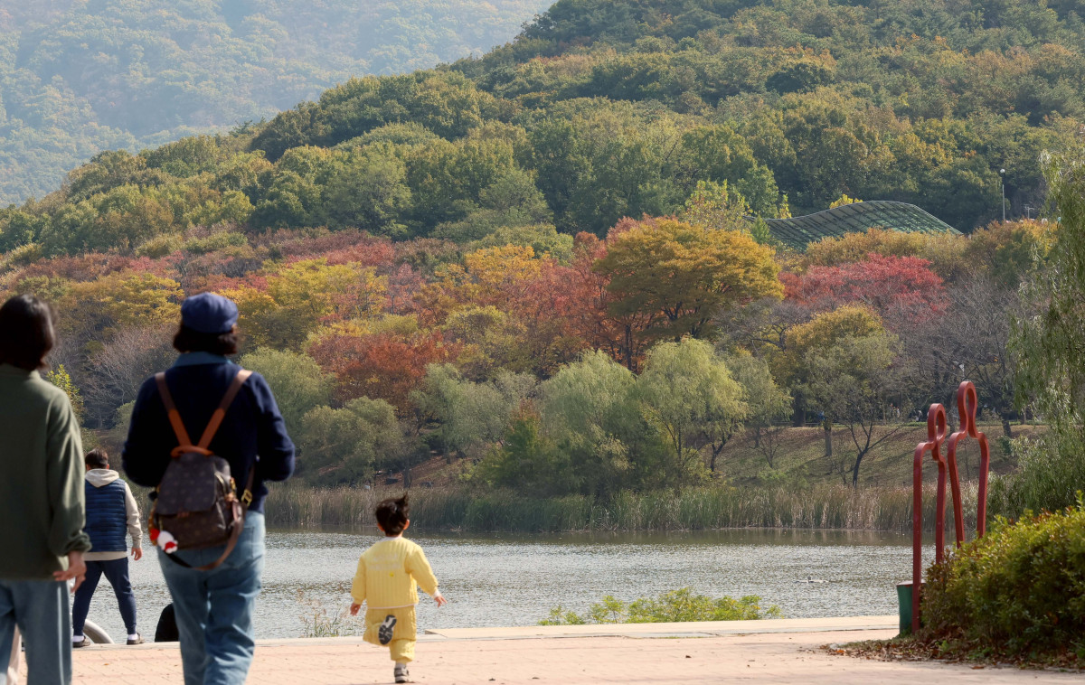 ▲완연한 가을 날씨를 보인 25일 인천 남동구 인천대공원에 울긋불긋 물든 단풍이 깊어가는 계절의 정취를 전하고 있다. 신태현 기자 holjjak@