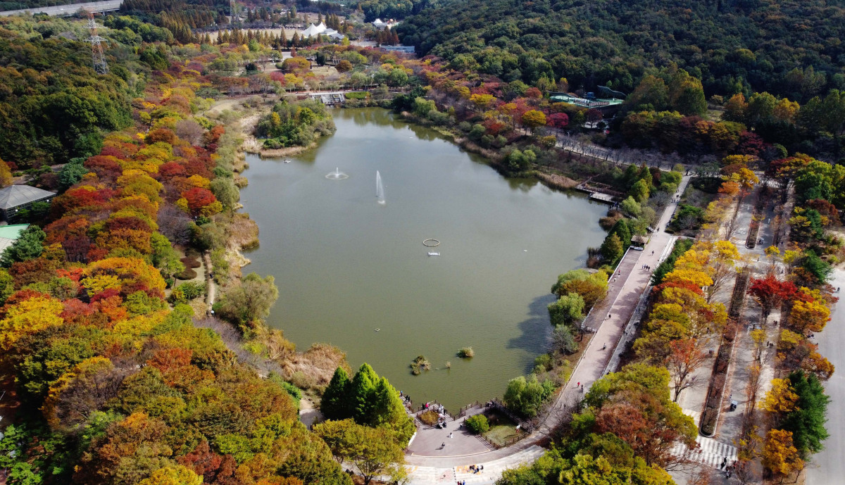 ▲완연한 가을 날씨를 보인 25일 인천 남동구 인천대공원에 울긋불긋 물든 단풍이 깊어가는 계절의 정취를 전하고 있다. 신태현 기자 holjjak@